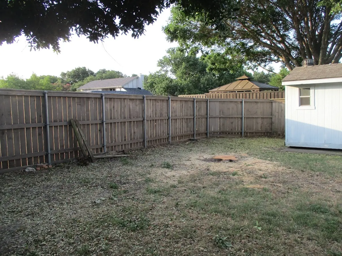 Cleared yard after professional tree removal in Floral Park