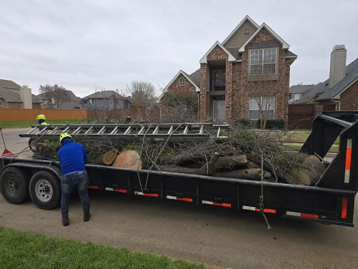Expert Tree Pest Control with proper safety equipment in Floral Park